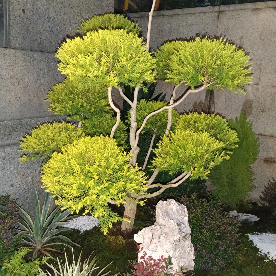 戏水长流一回