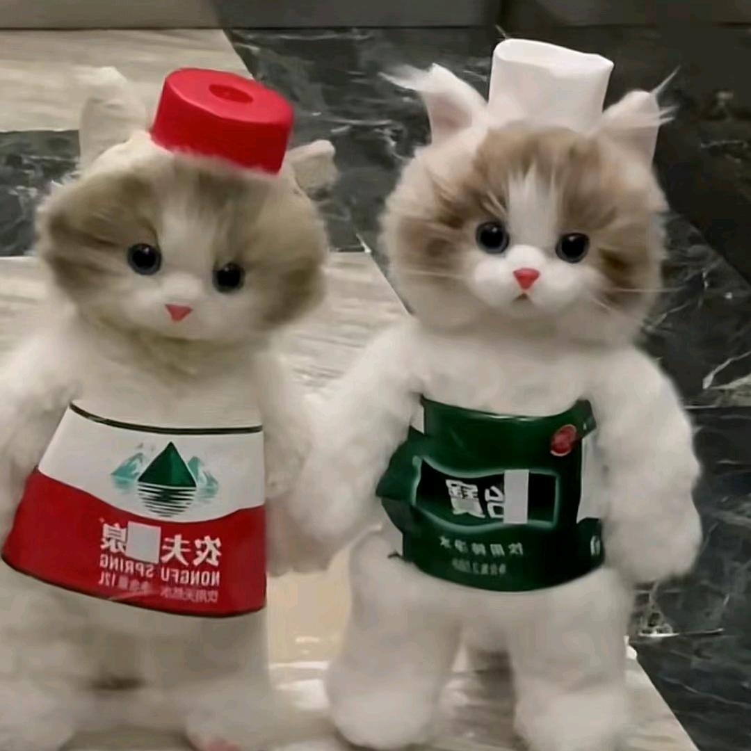 大白菲鹅