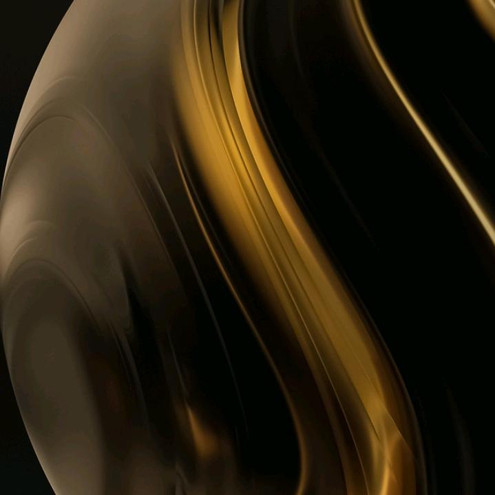 芳华金弹子盆景园艺店1