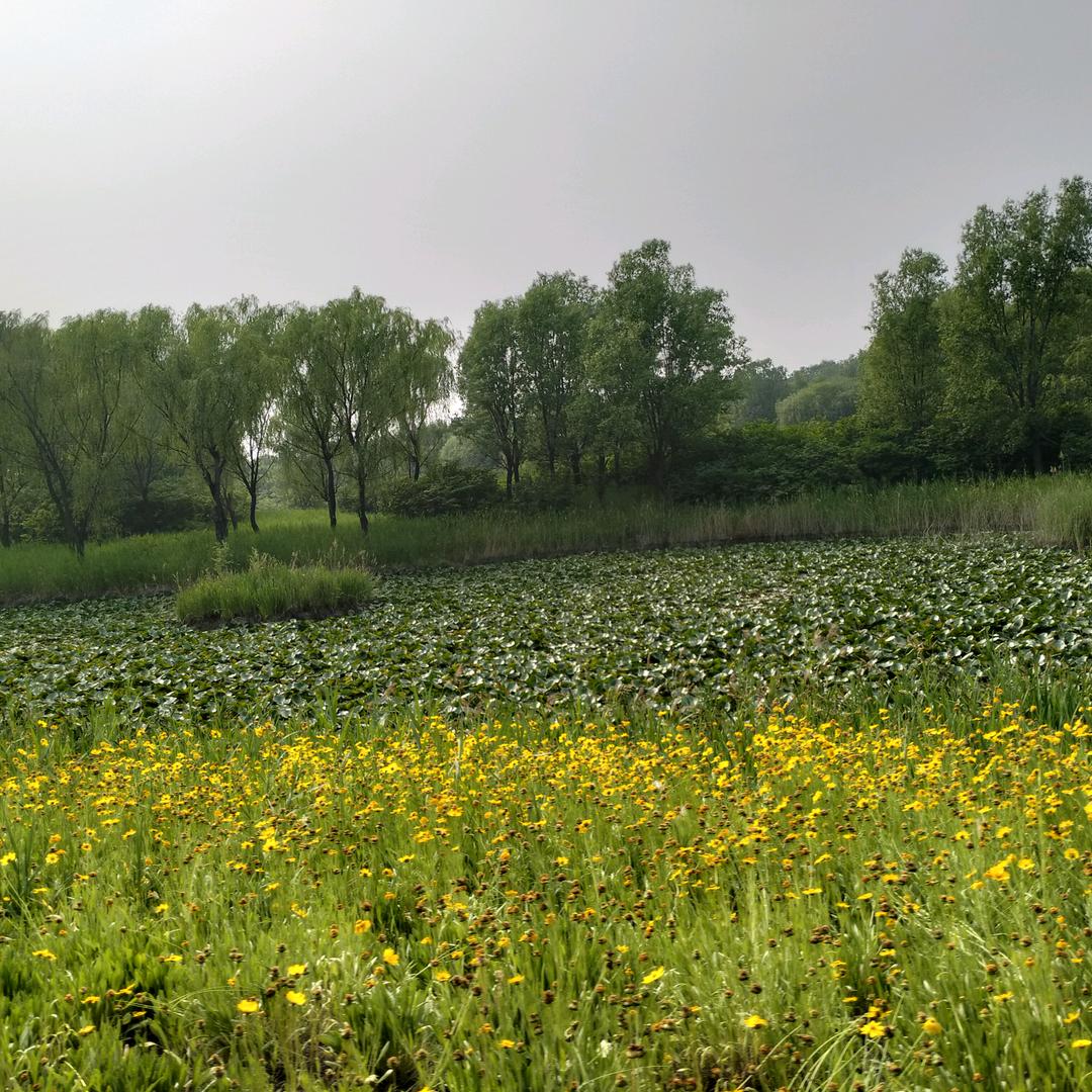 ╰☆繁华のxi☆╮