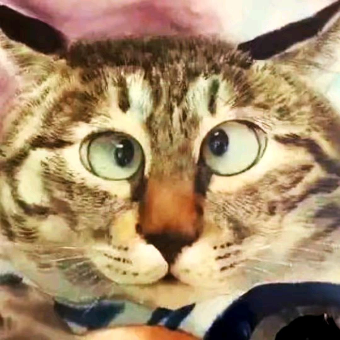 歪