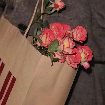 仨棉袄与我的小日常