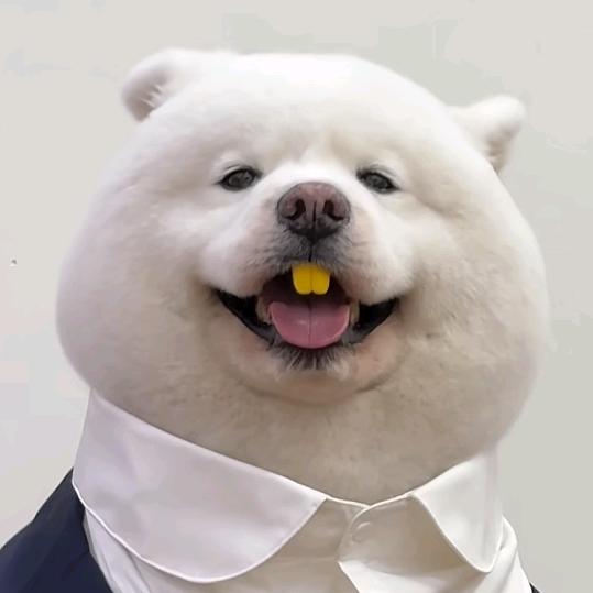 冒蓝火哒哒哒