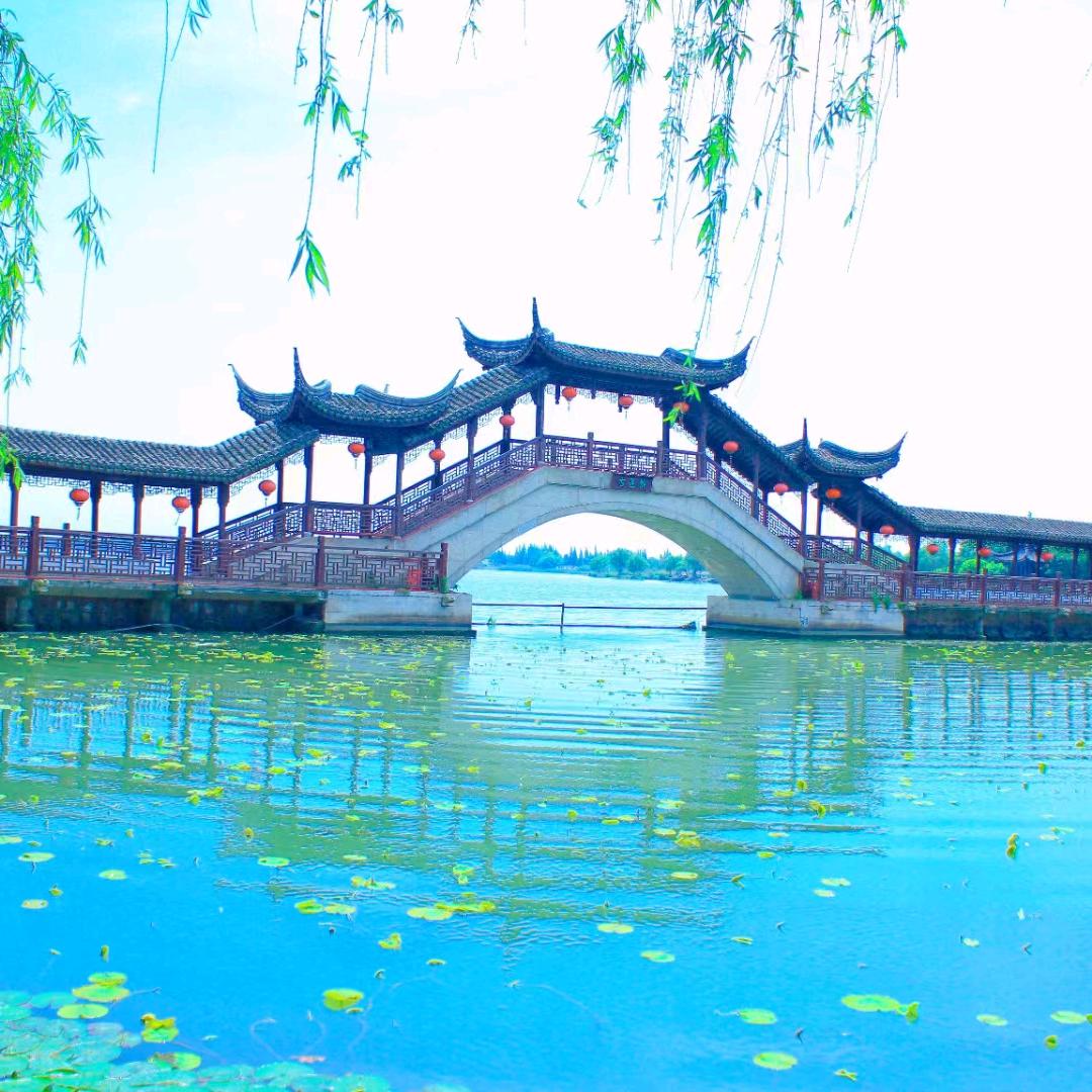 愿得一人心，白首不分离