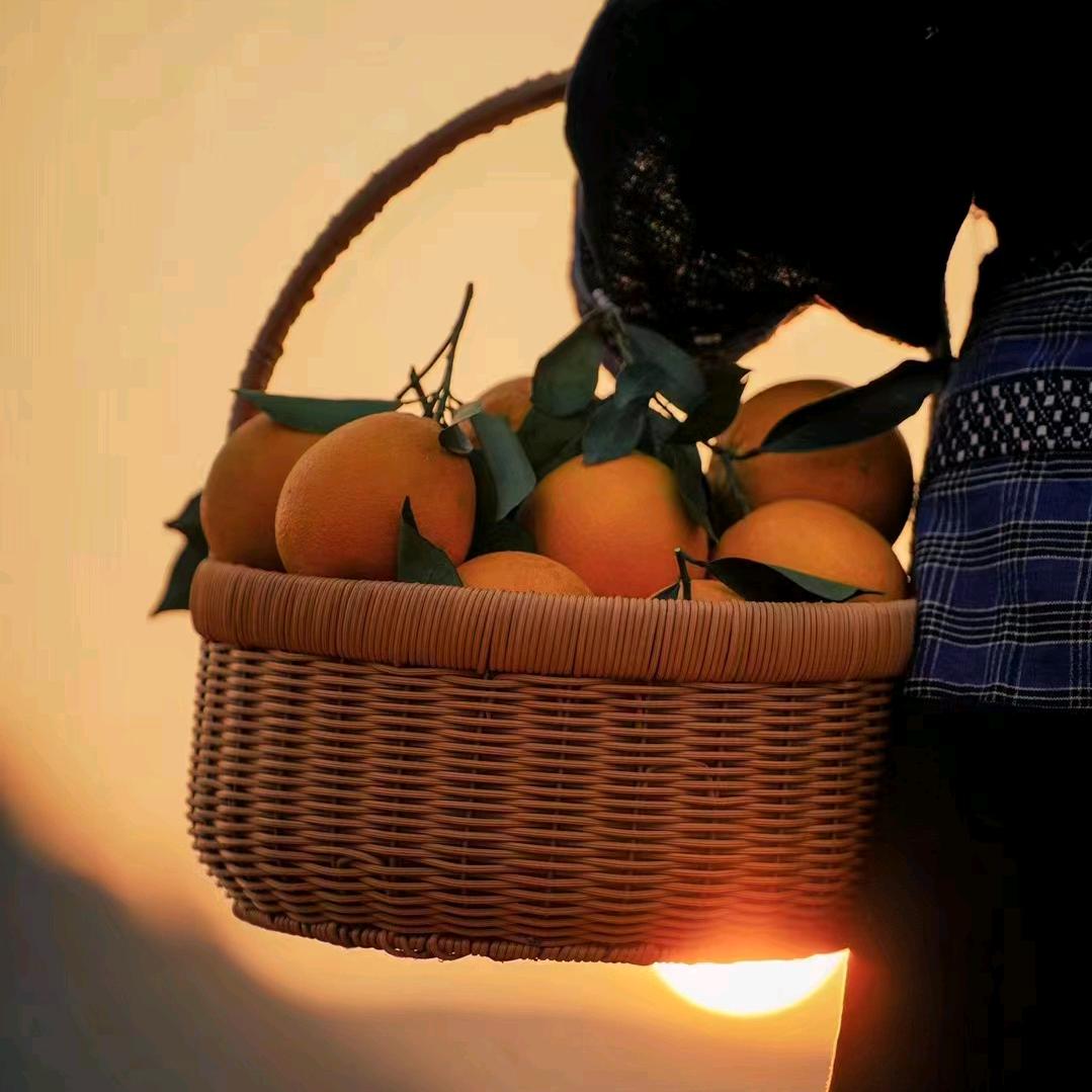 婷妹子的土特产