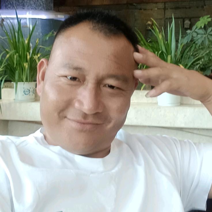 正规营运合规车。随叫随到