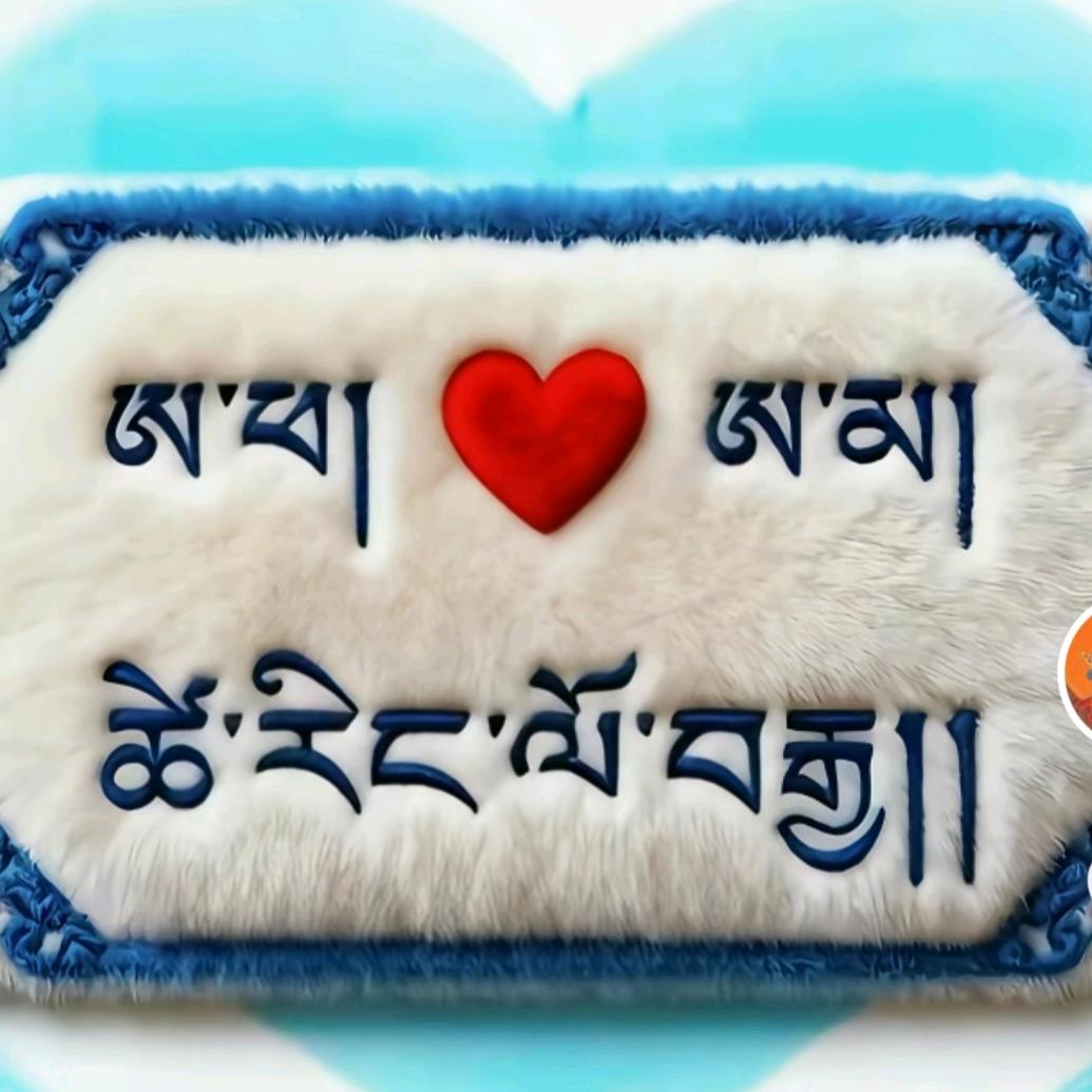 🪸藏家女孩🪸