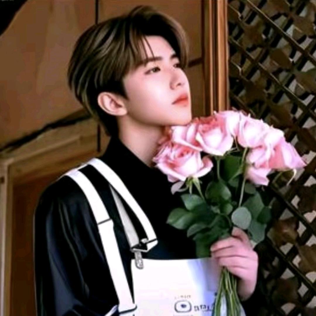 不梳中分（爱坤版）