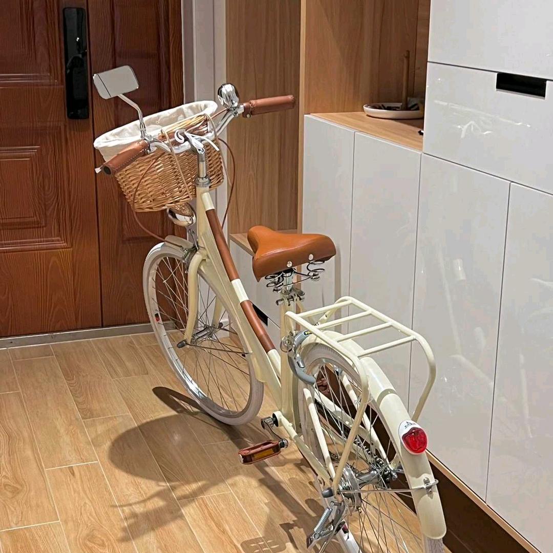 虎门乐骑休闲自行车店