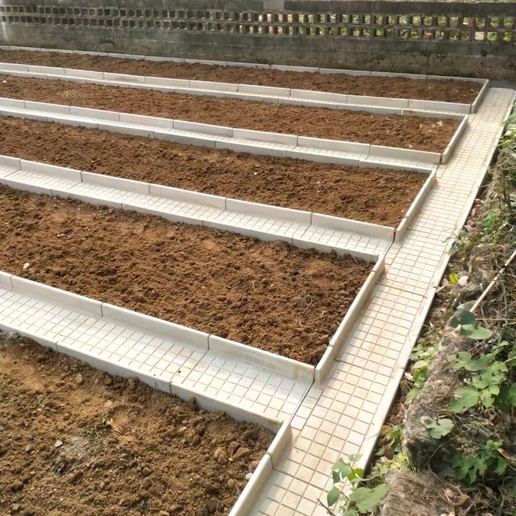 益阳泉交河菜地沟板（蔡波）