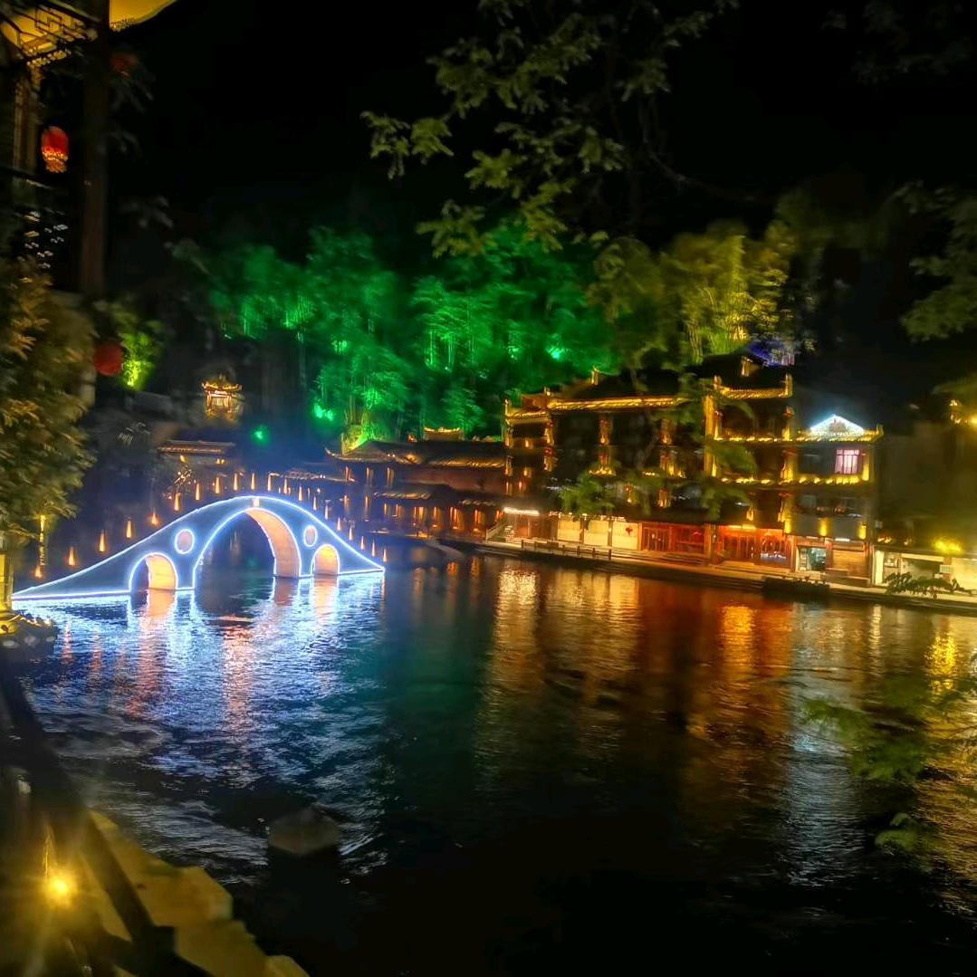 一株常青藤