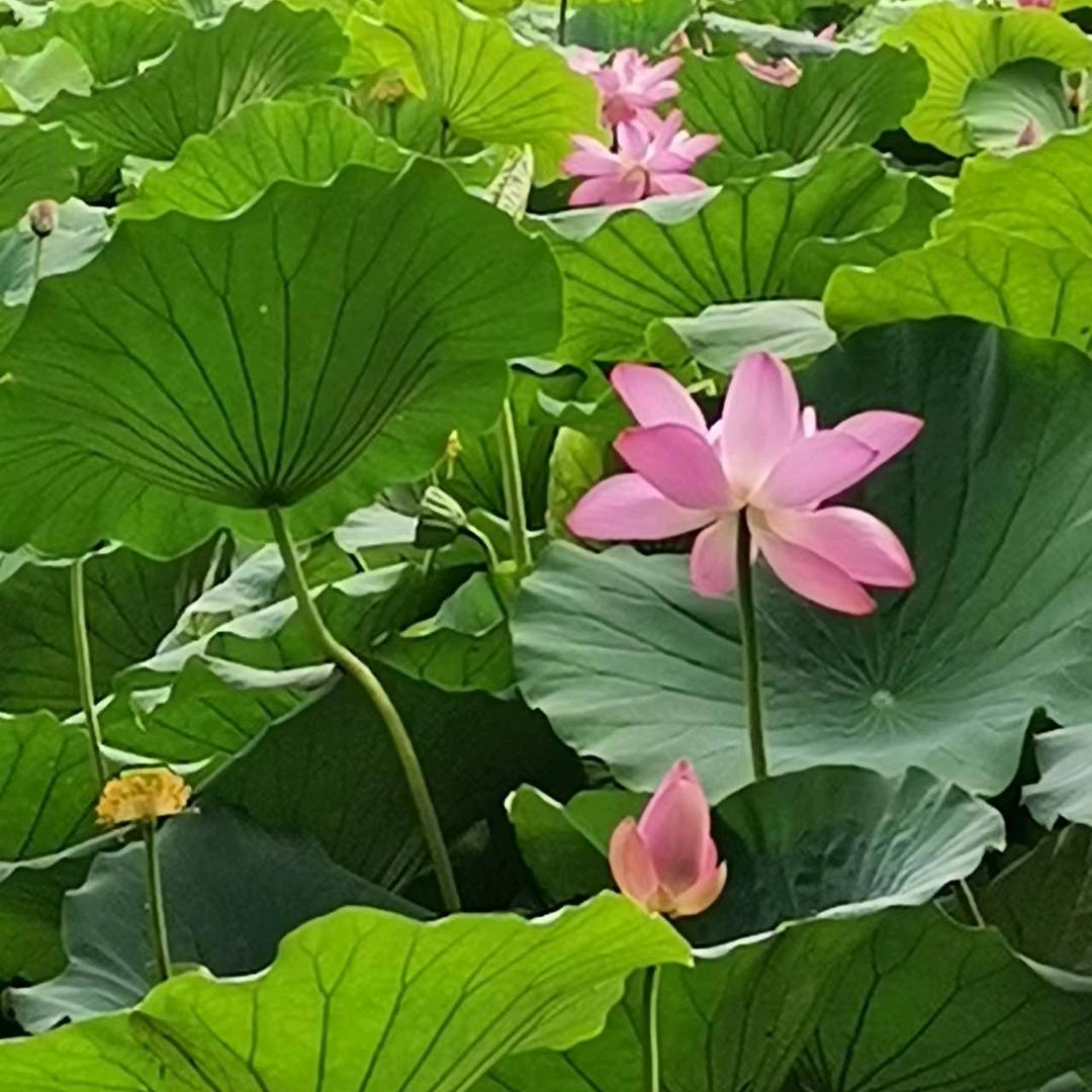 用户名7232399头像
