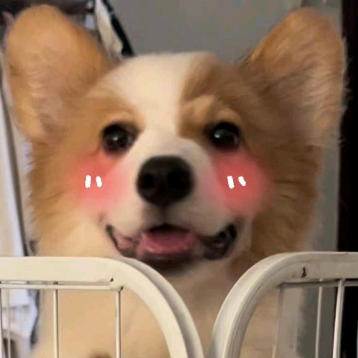 小熊的铺子