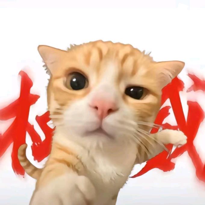 泡泡学🐱