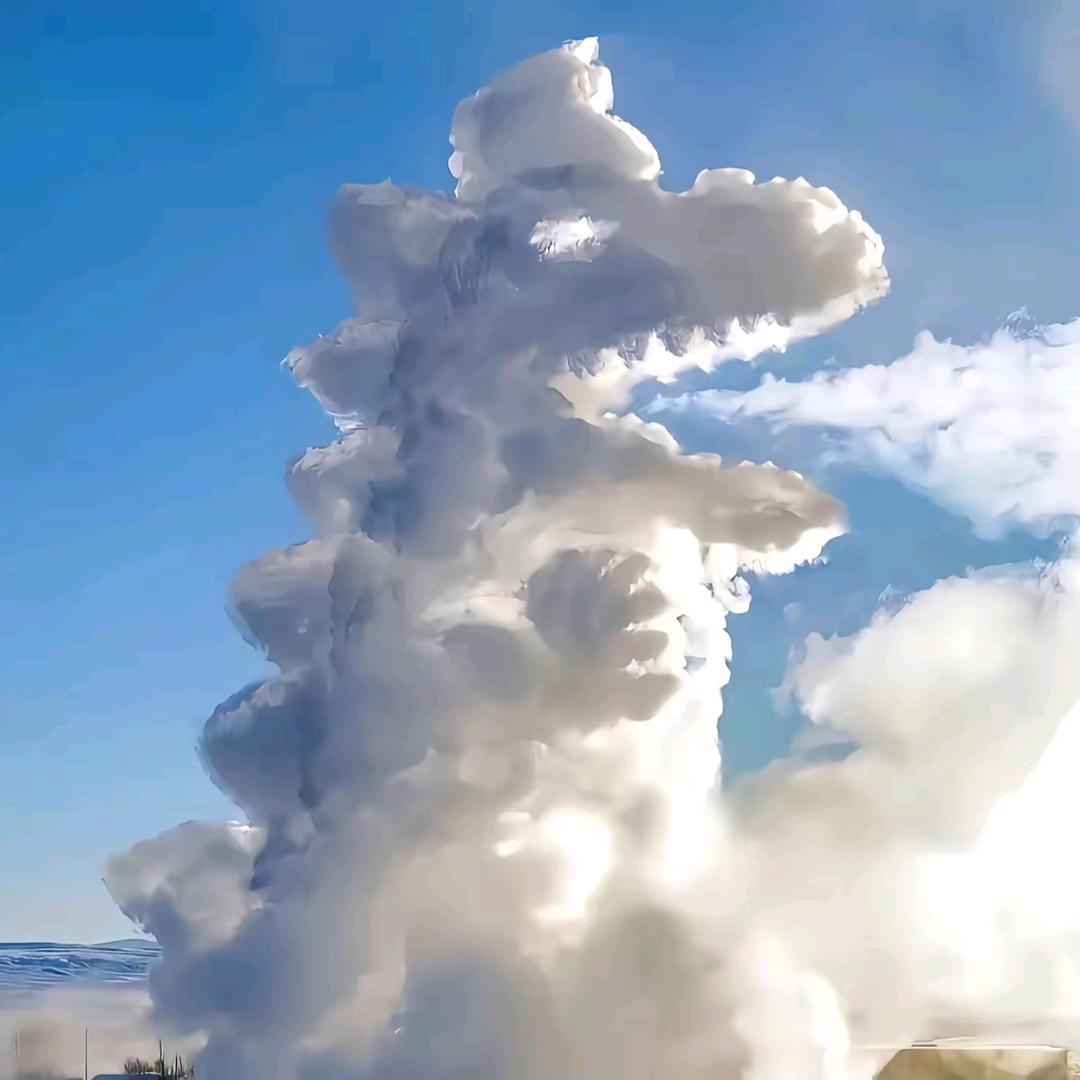 幼儿园的高材生