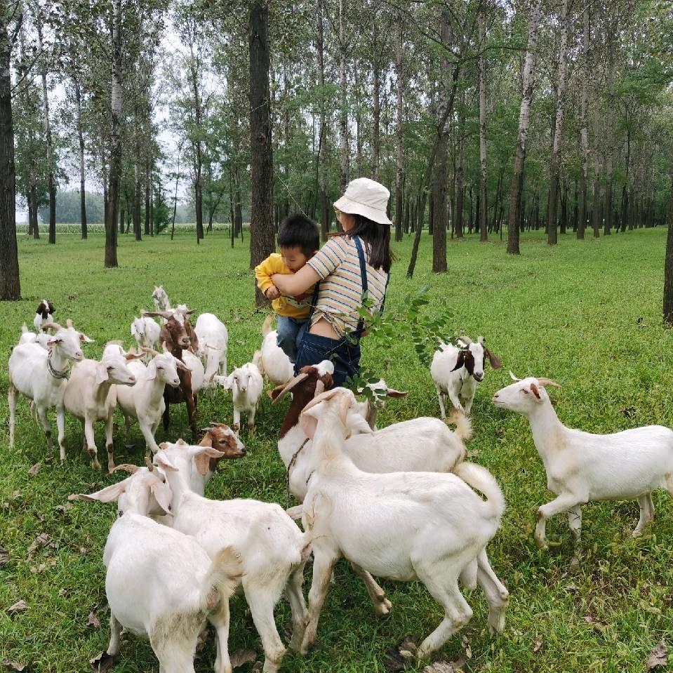 打伞吐泡泡的鱼🐠