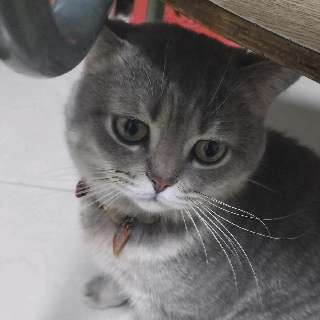 春暖花开_251834258