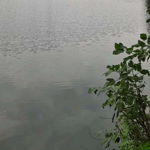 一懒💔众衫小