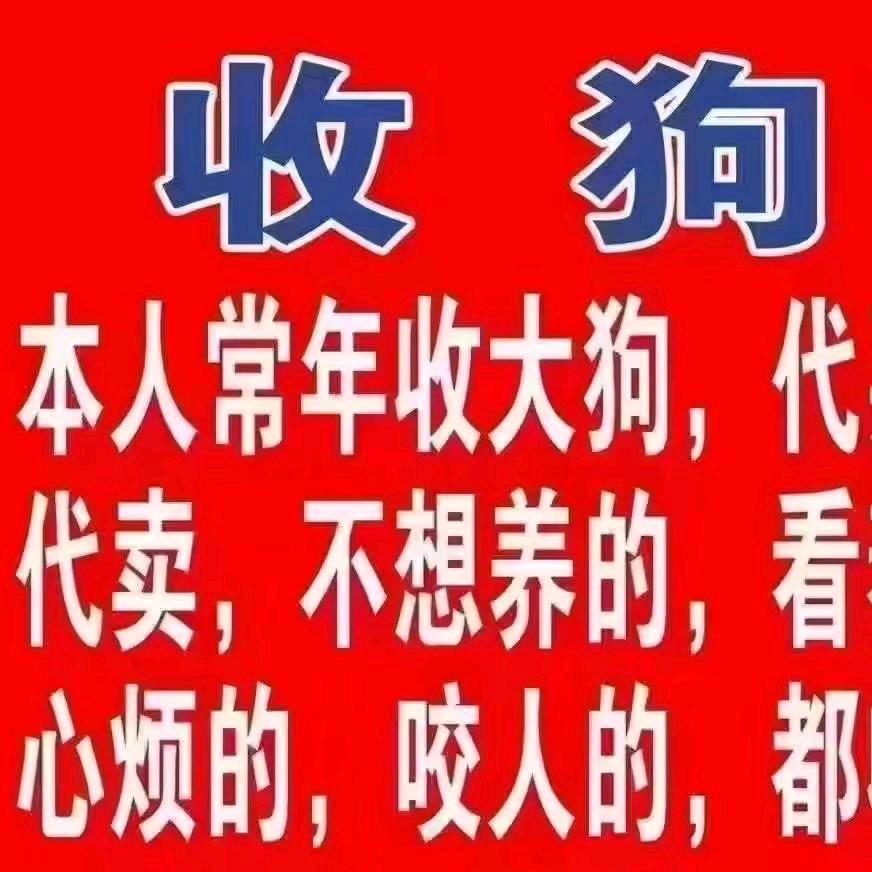 救助各种狗狗