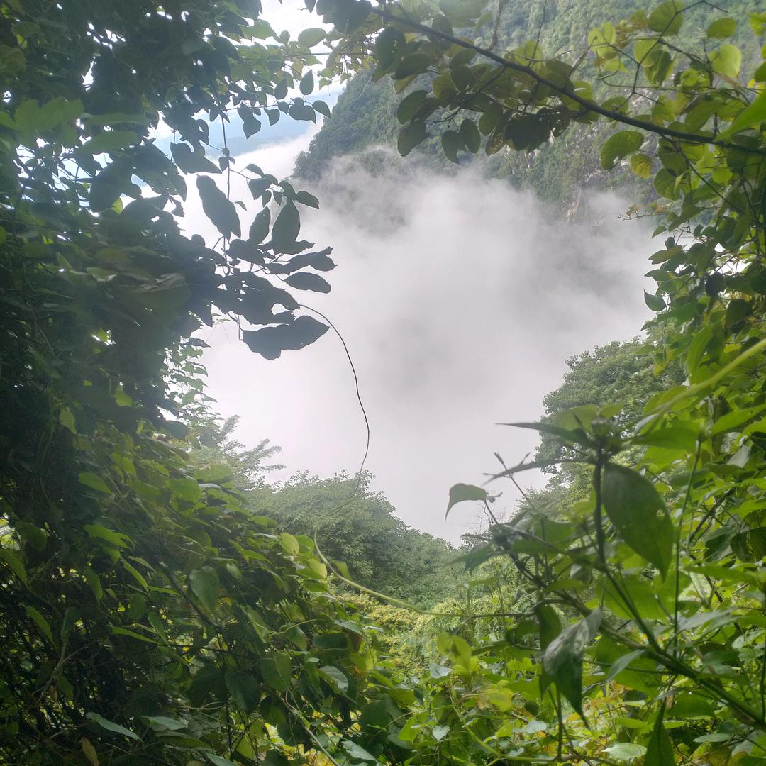 以人良善，终得福报