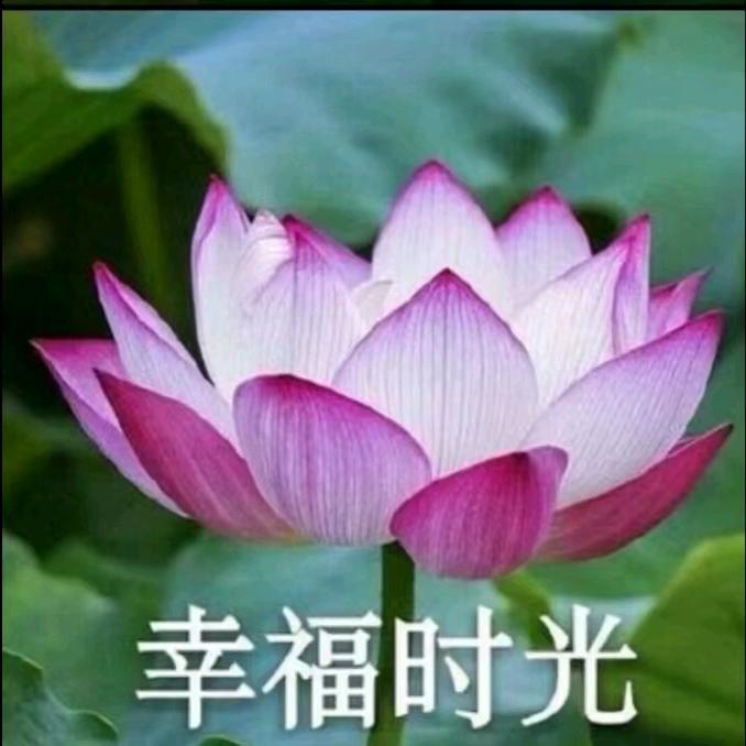 快乐永久
