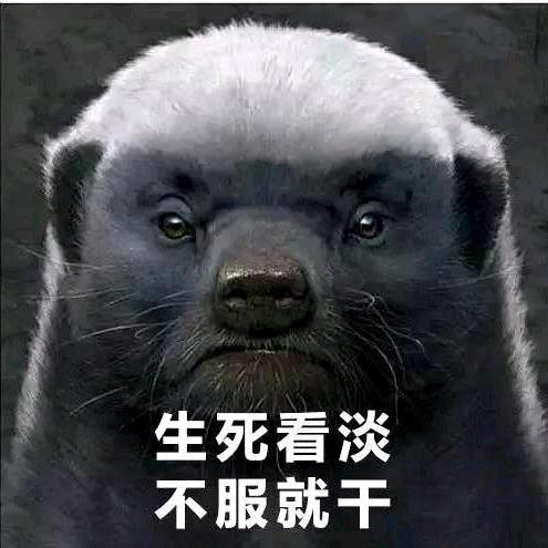 魔˃