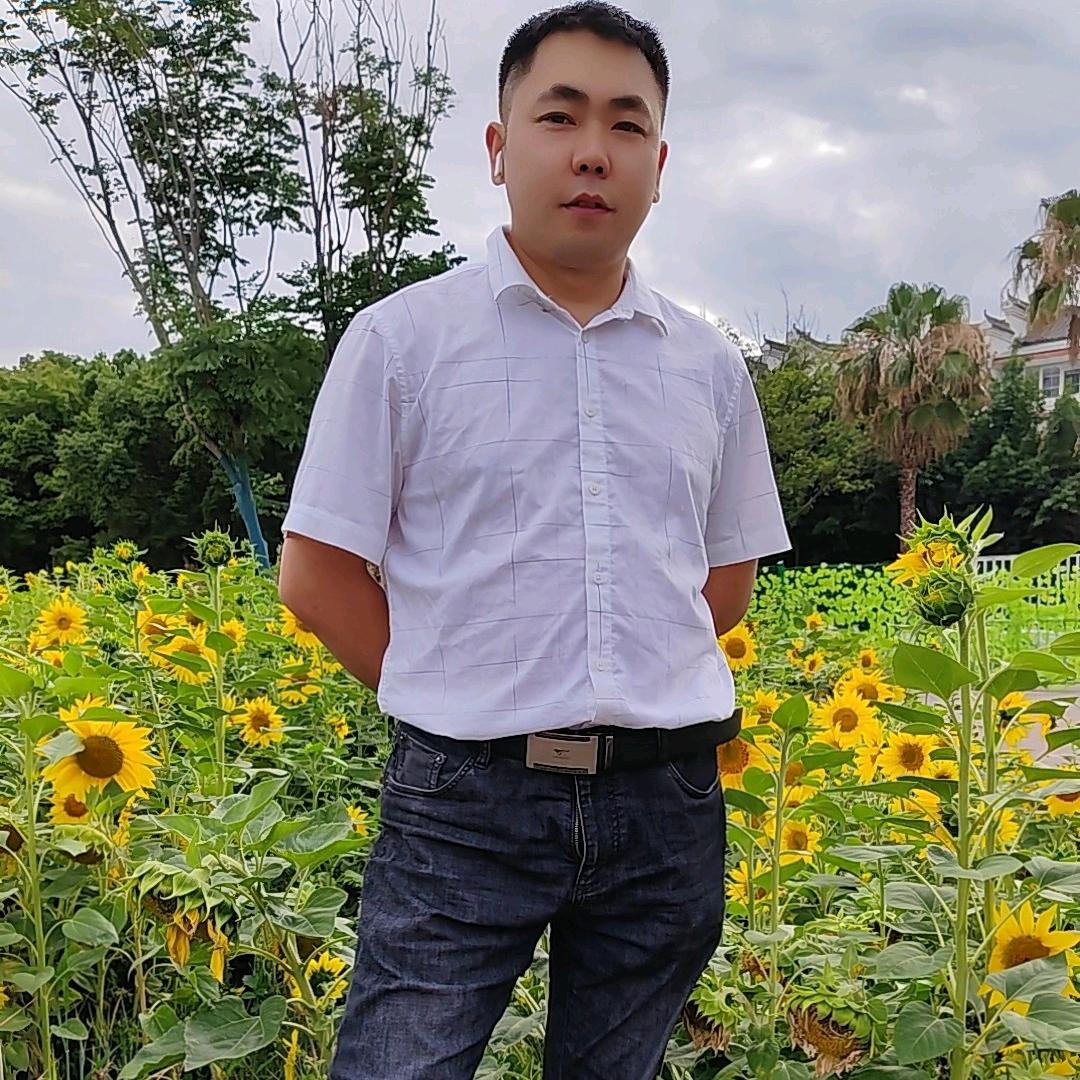 唐哥哥蝴蝶面批发