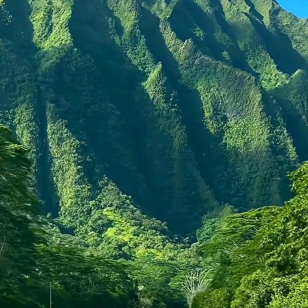 春天