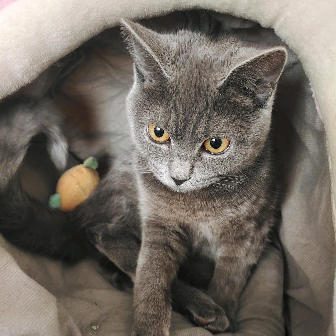 ꧁༺无༒奈༻꧂