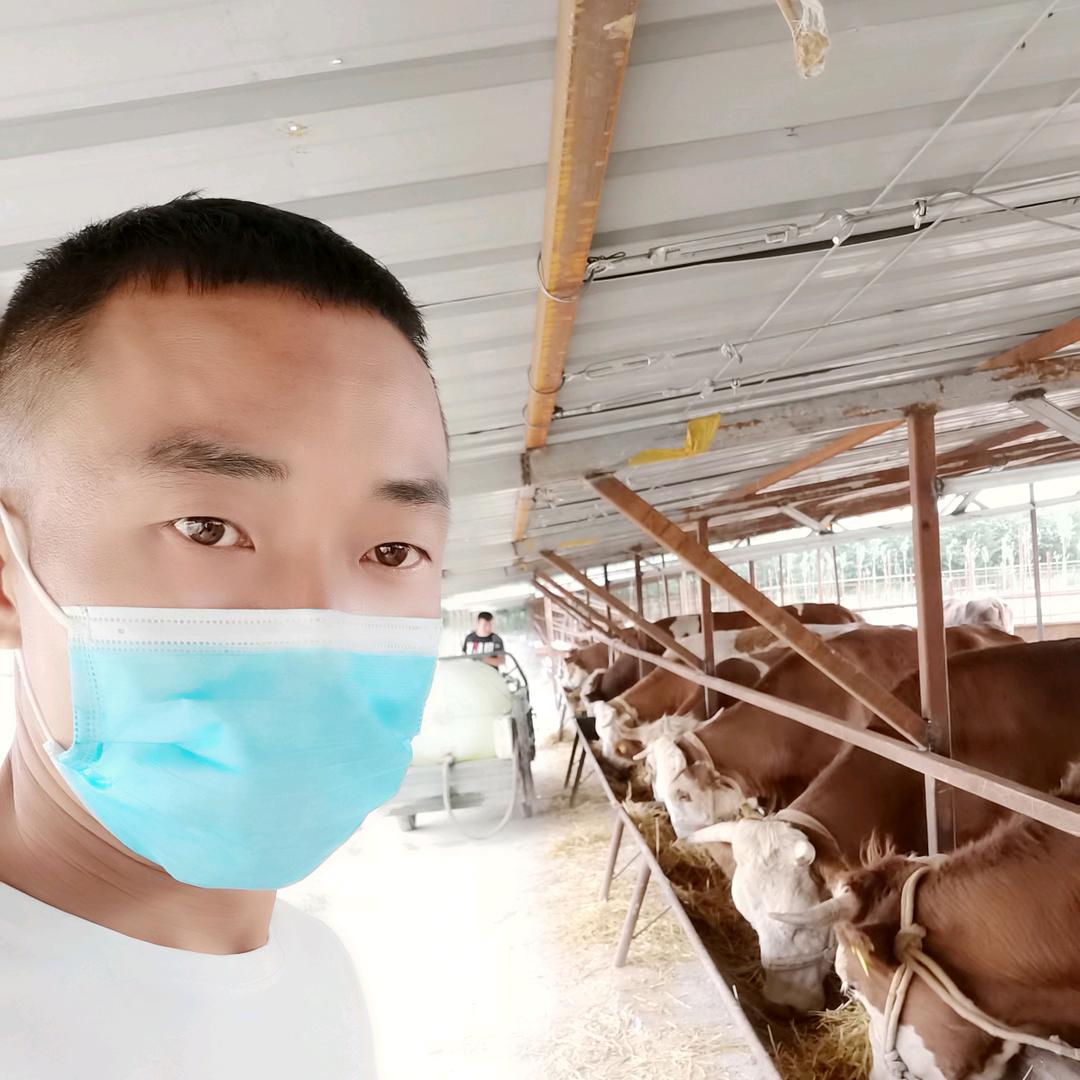 新疆小胡