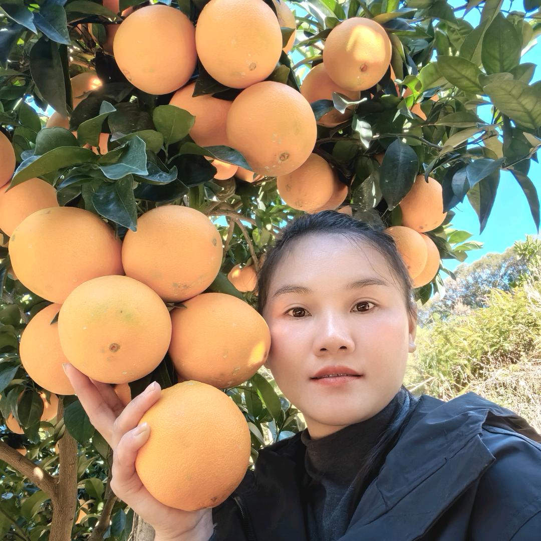 赣南苗木销售～红姐
