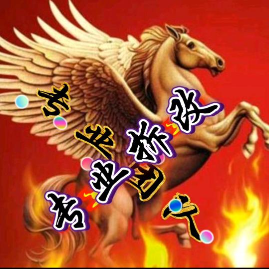 磊哥（砸墙拆除回收装修）