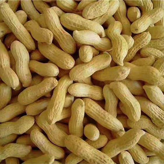 子骞甄选