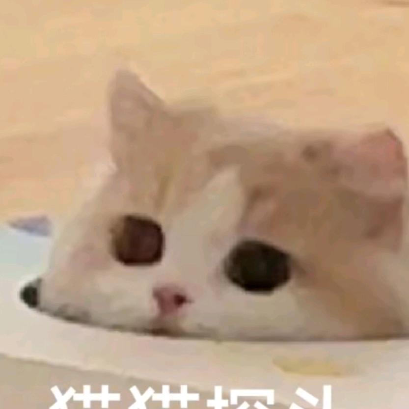 刺客新娘大春头像