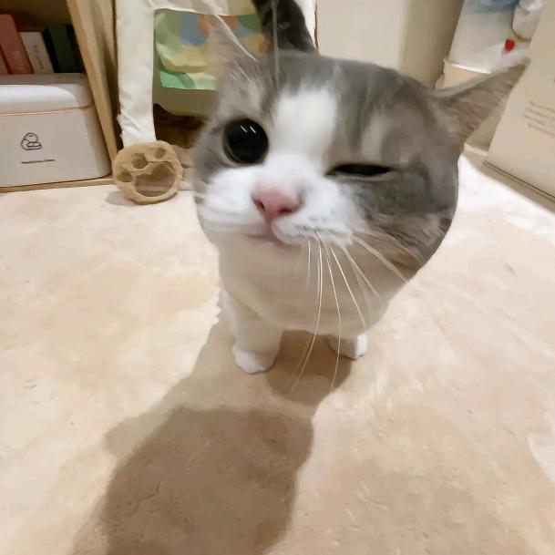 你充Q币吗
