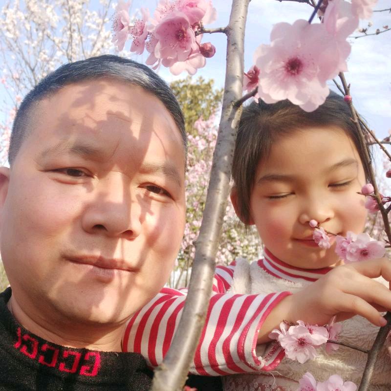 阿兵.👍敢问路在何方……？