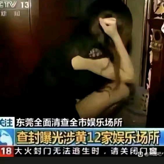 鹿桉