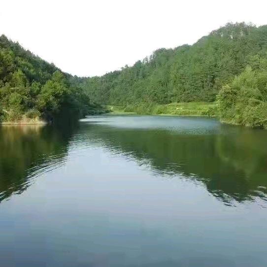 蔡班长的土特产