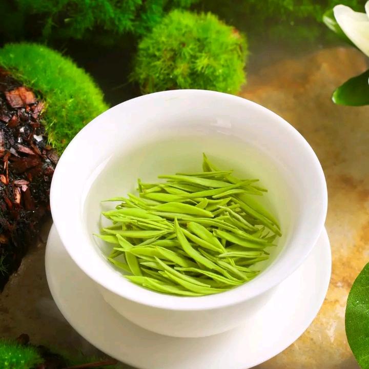 一见钟情