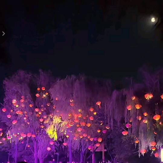 人在江湖