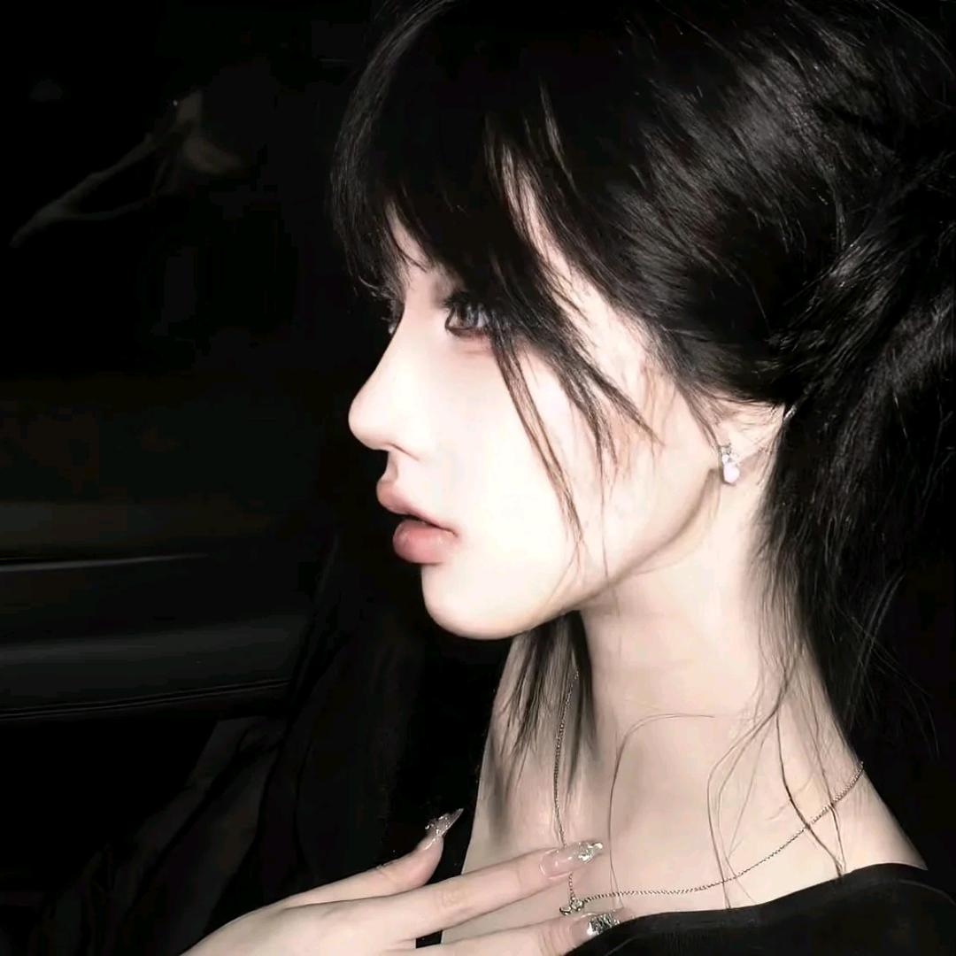 菊花碎大石