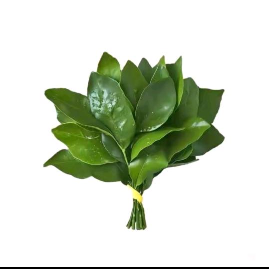 莹宝