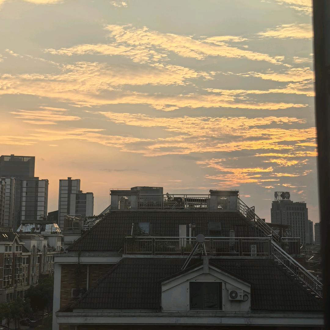 标签