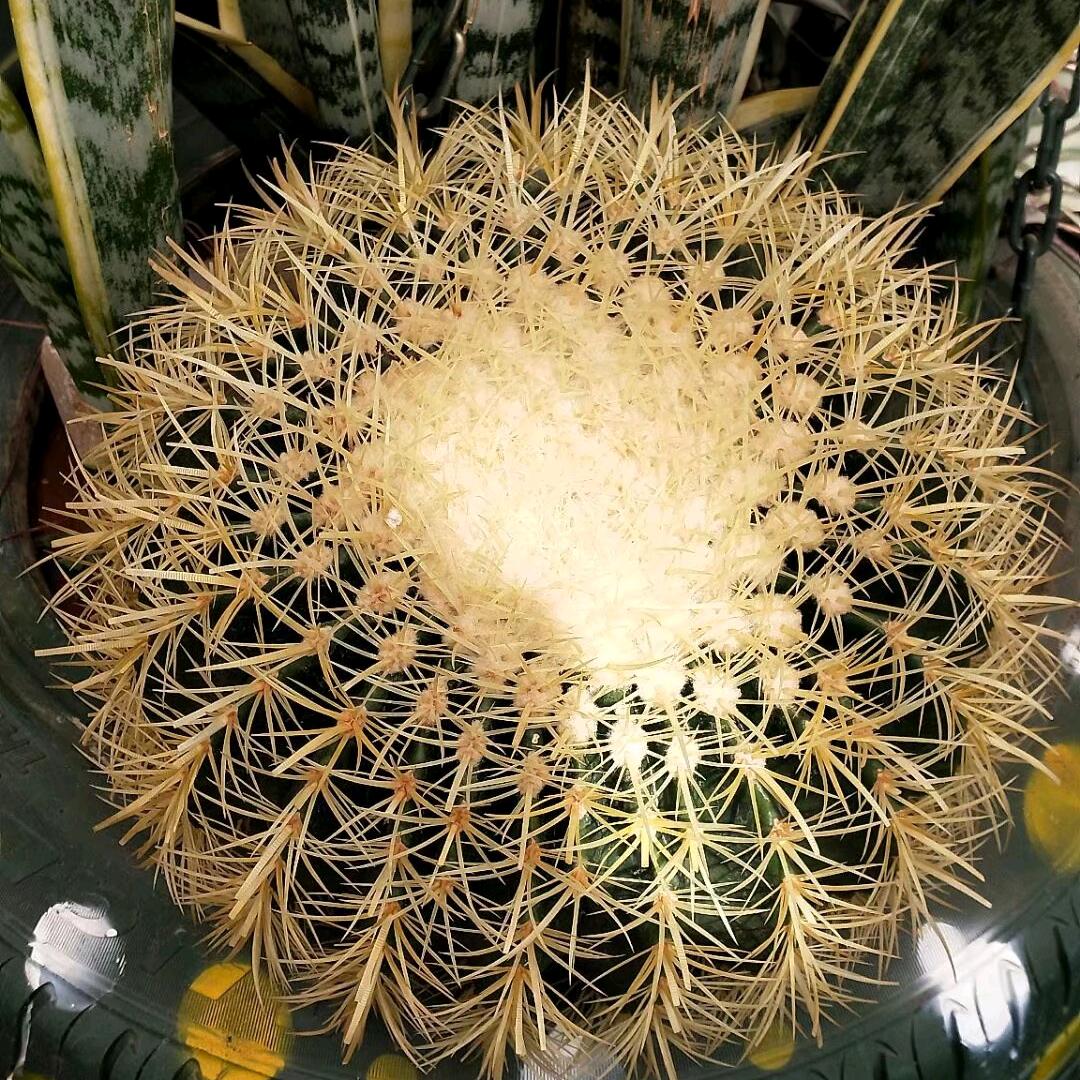 ໑ຼₒ₂⁵დ吕꧔ꦿ℘⸙