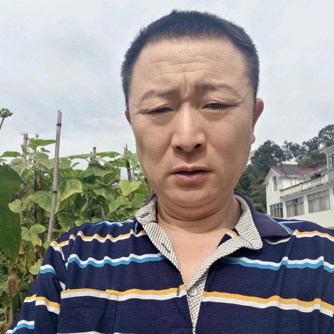 大别山1@大别山百货下午2.10）