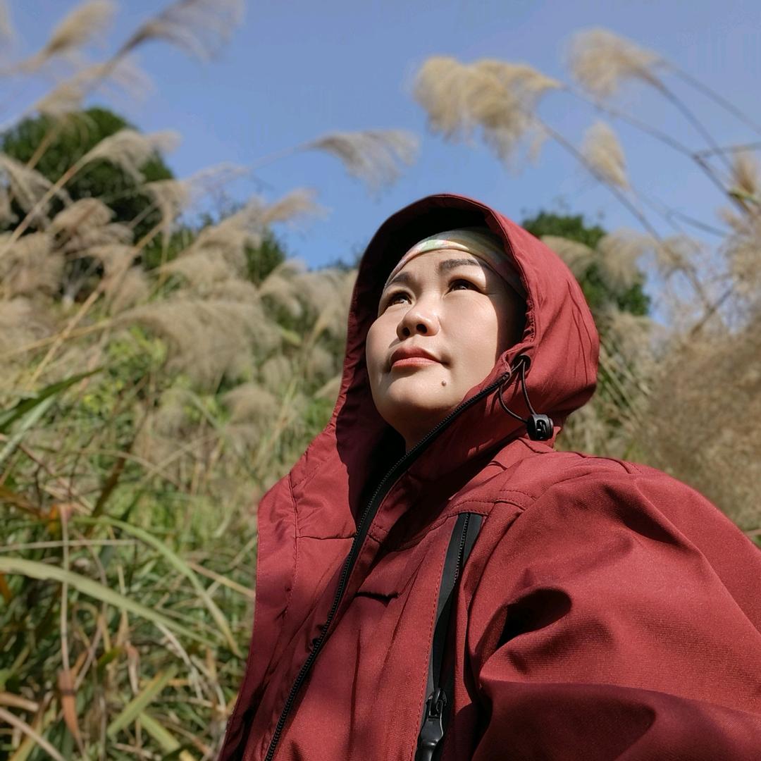小鱼麻麻