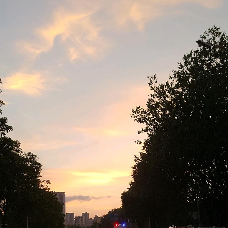 哇哇哇叫