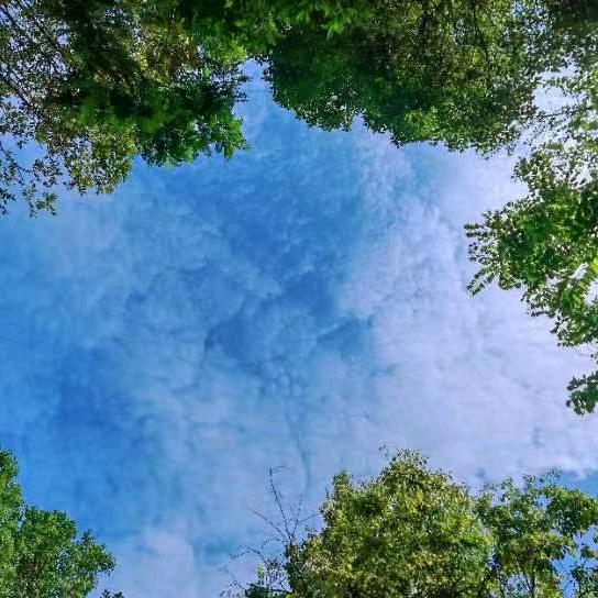 原生态乡村生活