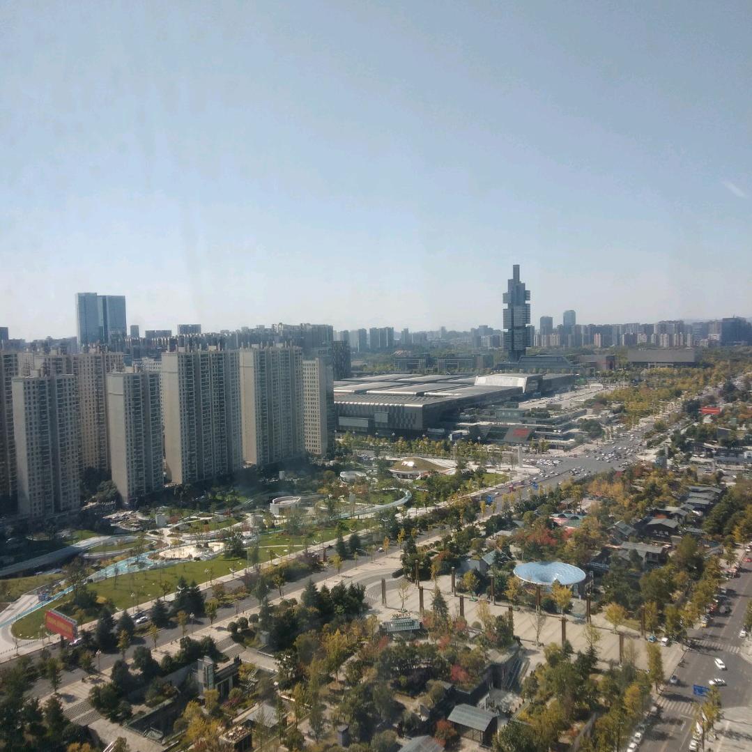 诗酒趁年华