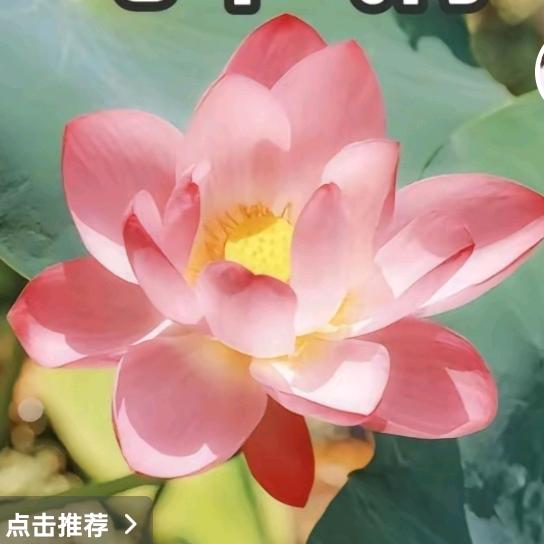 我的幸福生活